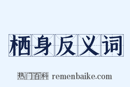 栖身反义词是什么意思的图片